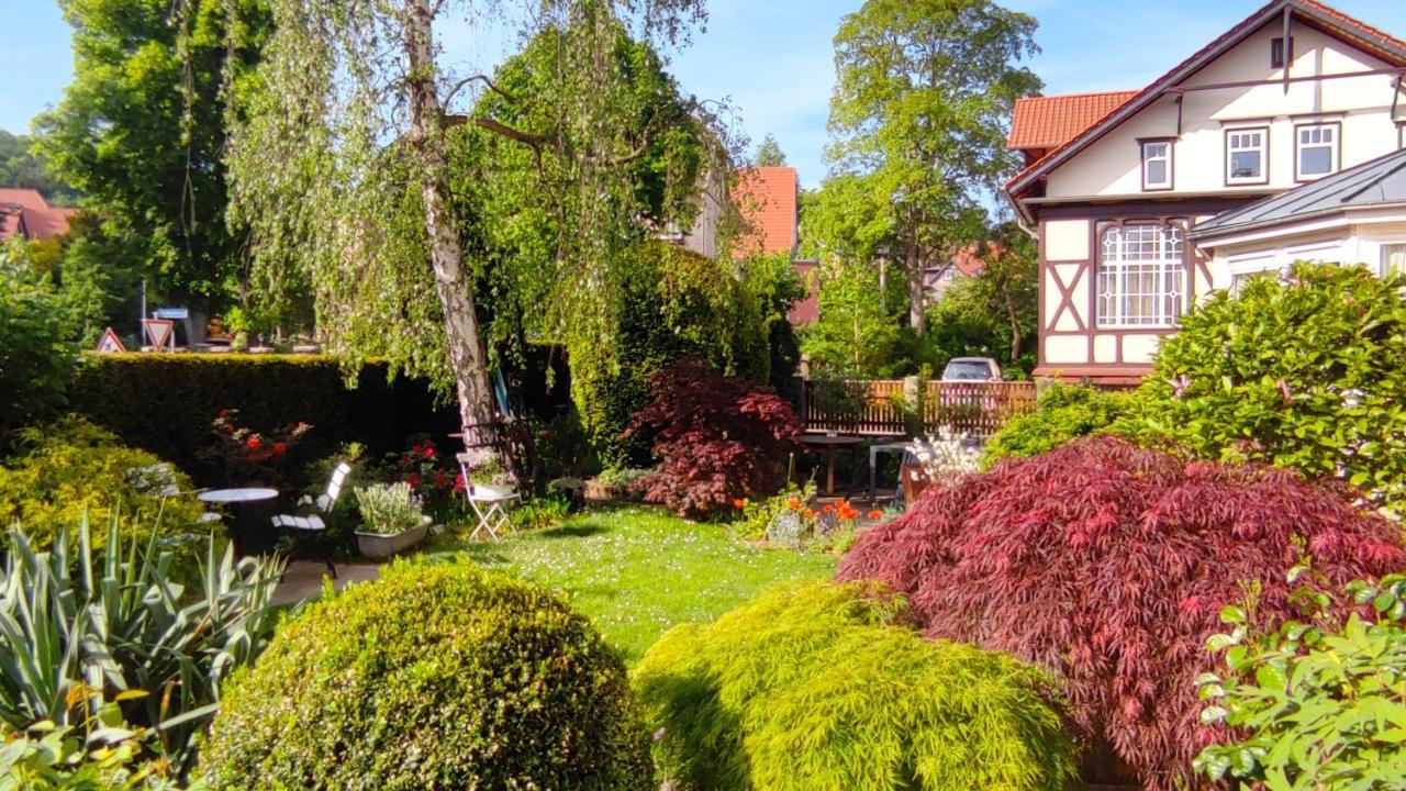 Fewo Am Wetzstein Вернигероде Экстерьер фото